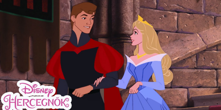 csipkerózsika szereplők